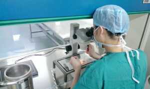 2025海南三代试管生混血婴儿费用并不高，具体费用组成了解一下